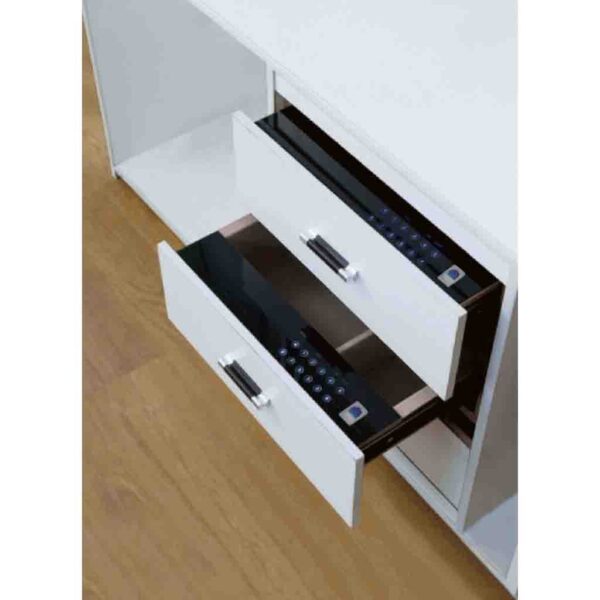 گاو صندوق ریلی دیجیتالی WS4138 _ یونی هوپر/Unihopper